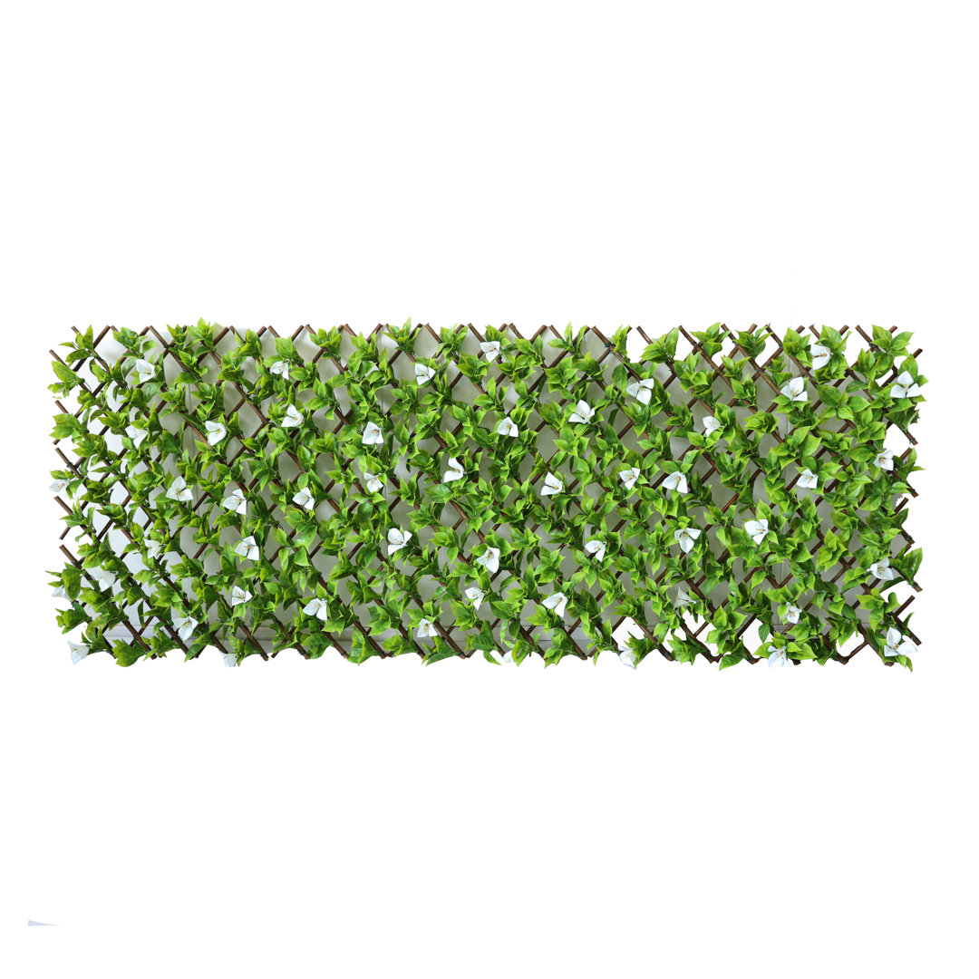 Annalicia 180Cm H x 60Cm W Plastic Expanding Trellis