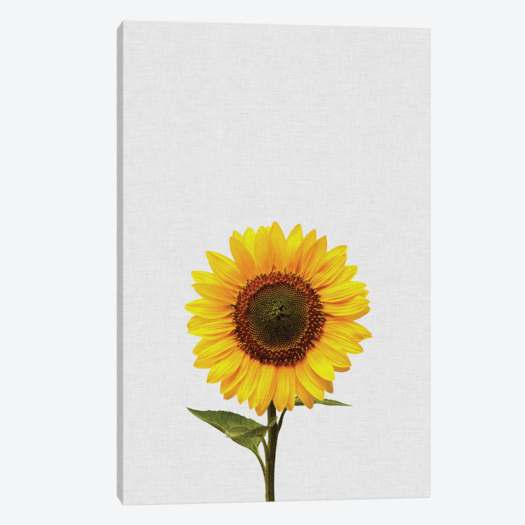 « tournesol », reproduction d’impression sur toile, H 12 po x l 8 po x P 0,75 po, Toile tendue, Pas de tapis