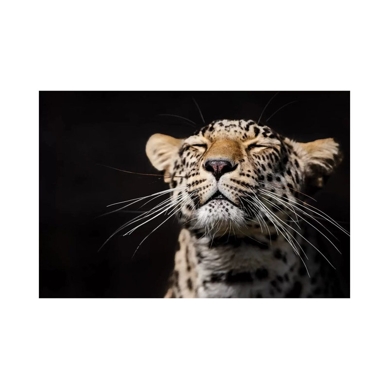 Leopard I by Goran Anastasovski - Wrapped Canvas Print, 30.48 cm H x 45.72 cm W