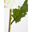 Fiori Chrysanthemum Arrangement