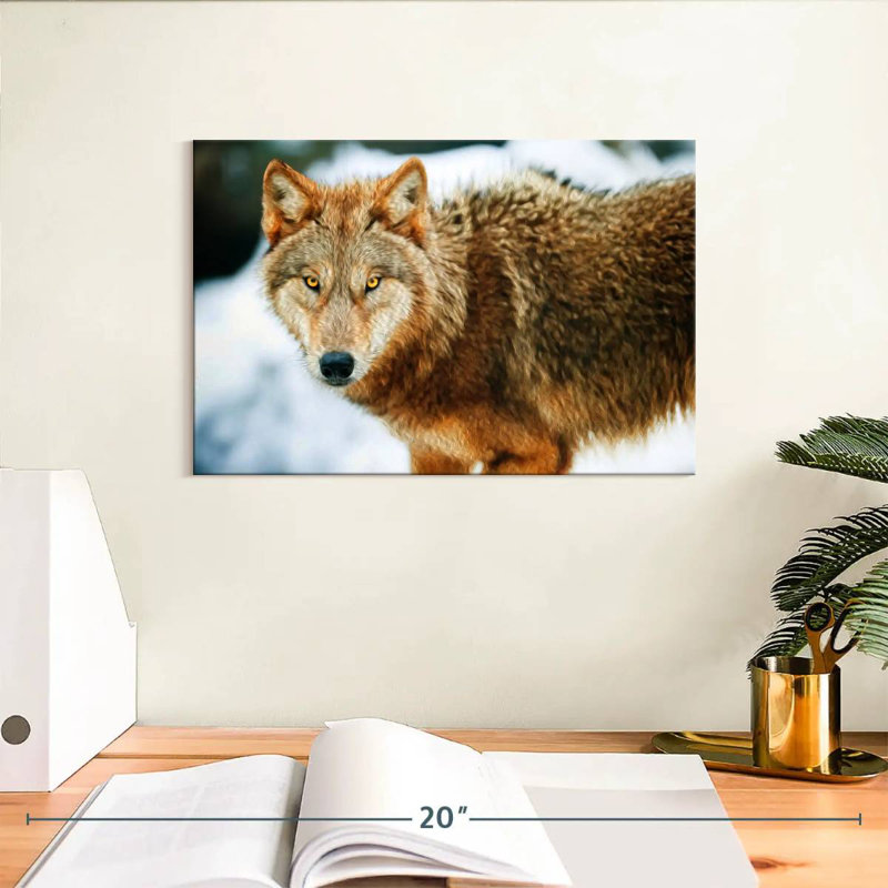 Brampt Brown Wolf, 8" H x 12" W
