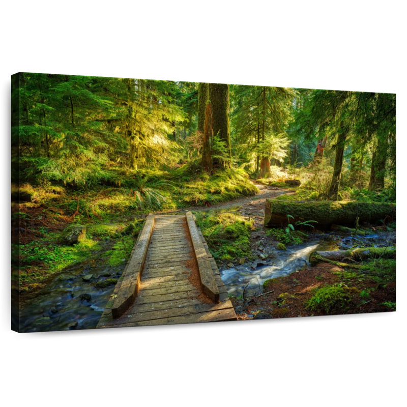 Alvord Olympic Forest Bridge