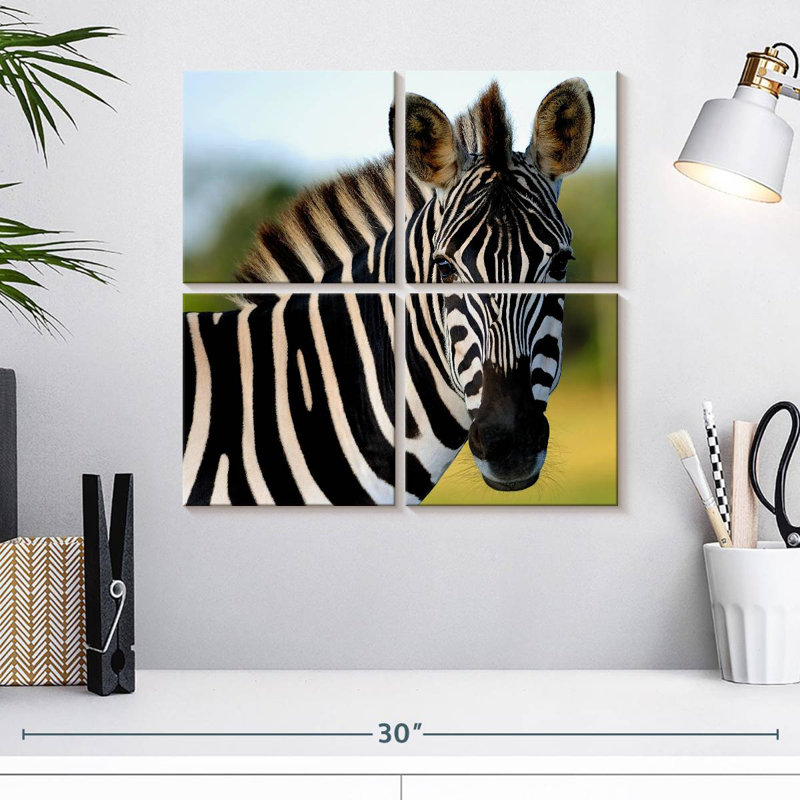 Brampt Staring Zebra