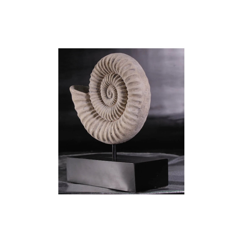 Statue en spirale de coquille fossile Algol