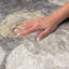 Tapis à poil long de qualité supérieure lavable à la machine ADS556-1729009576-1729009577