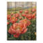 Pivoines dans la prairie roulante I - reproduction de bois de pivoines - sur bois de pin naturel-199909308