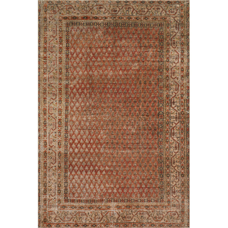 Tapis délavé Jessalyn, Rectangle 4pi x 6 pi