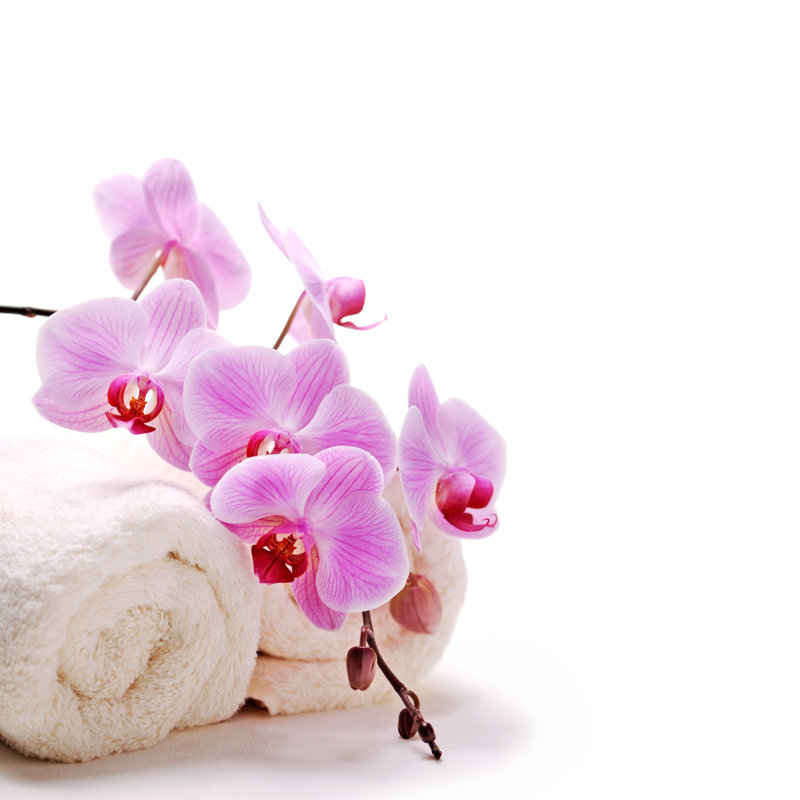 Spa Treatment by Moncherie - No Frame Art Prints on Canvas, 76cm H x 76cm W