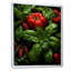 «Herbs Basil Vibrance 3», art mural herbes florales