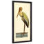 «Crane», impression encadrée sur papier