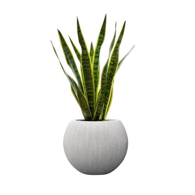 14.5 Inch Dia Plastic Round Gray Planters for Outdoor Plants, Plant Pot with Drainage Holes and Plug for Home Patio Garden, Large Flower Pot for Indoor and Outdoor Plants, 11.8 H (8.9" Pot Opening)