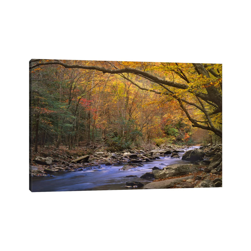 Little River Flowing Through Autumn Forest, Great Smoky Mountains National Park, Tennessee by Tim Fitzharris - Wrapped Canvas Print