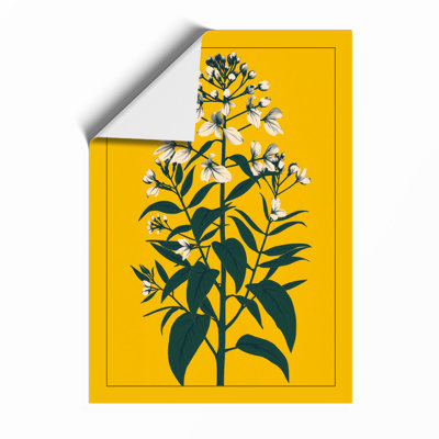 Study Botanical - Framed Print