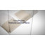 Jemima Plush Dunlop Latex Standard Pillow