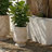Stark Planter Pot-1850490140-1850490141