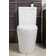 Close Coupled Toilet with Button and Soft Close Seat