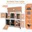 Rabbit Hutch With Ramp