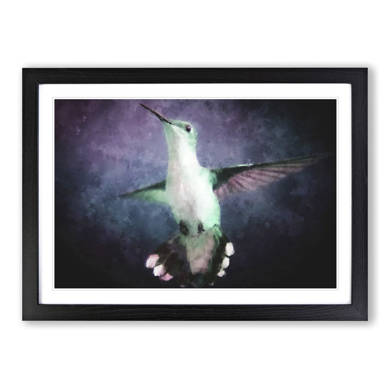Hummingbird Bird in Flight - Picture Frame Painting Print, 33cm H x 45cm W x 2cm D, Black Framed