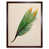 Brown Framed Paper is out of stock