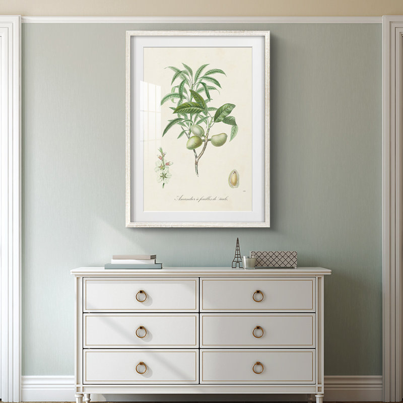 Bosco -Gallery Wrapped Canvas