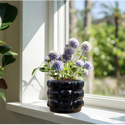 Pot à fleurs 6 po en céramique noire avec drainage