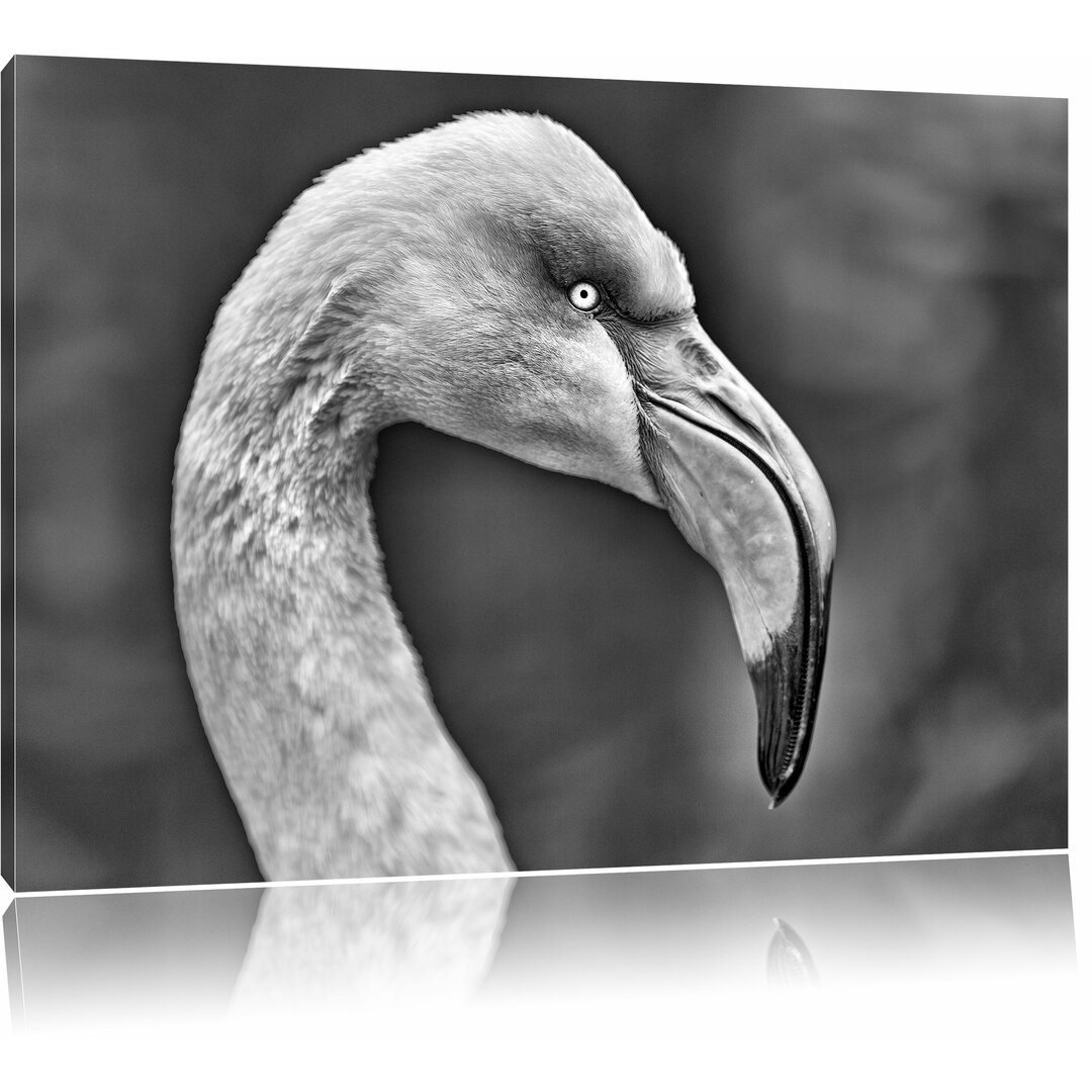 Leinwandbild Flamingo im Seitenprofil in Monochrom