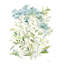 Art sur toile tendue avec Lark Manor ™ Robinson, Carol, Garden Lace II