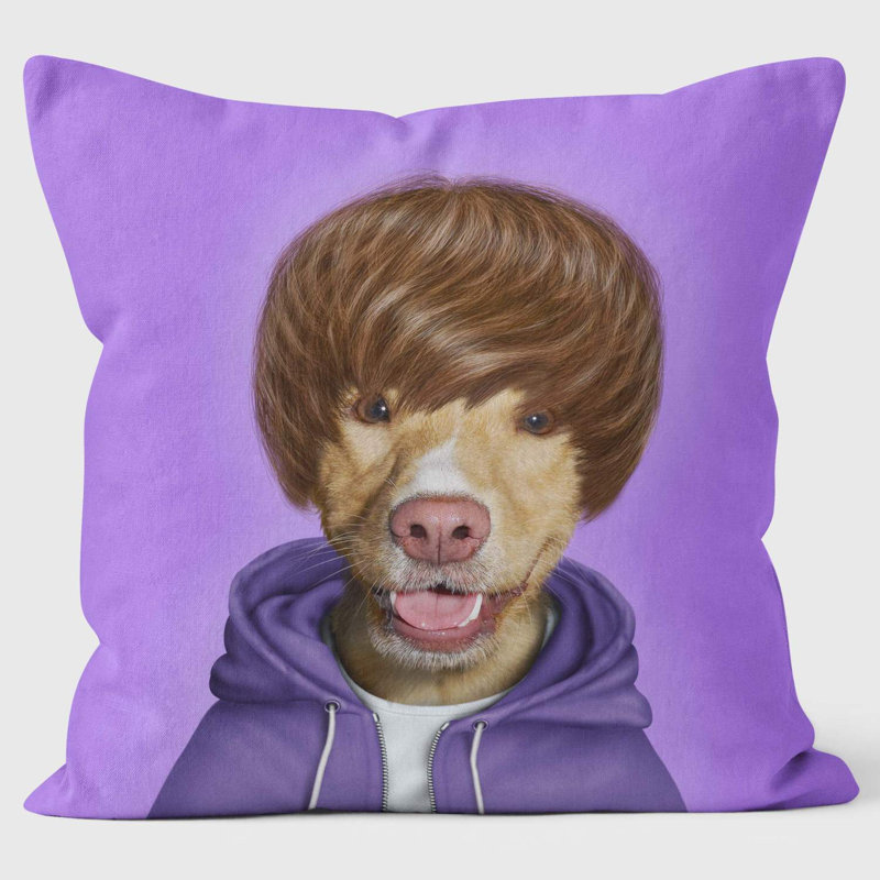 Teen - Pets Rock Cushion