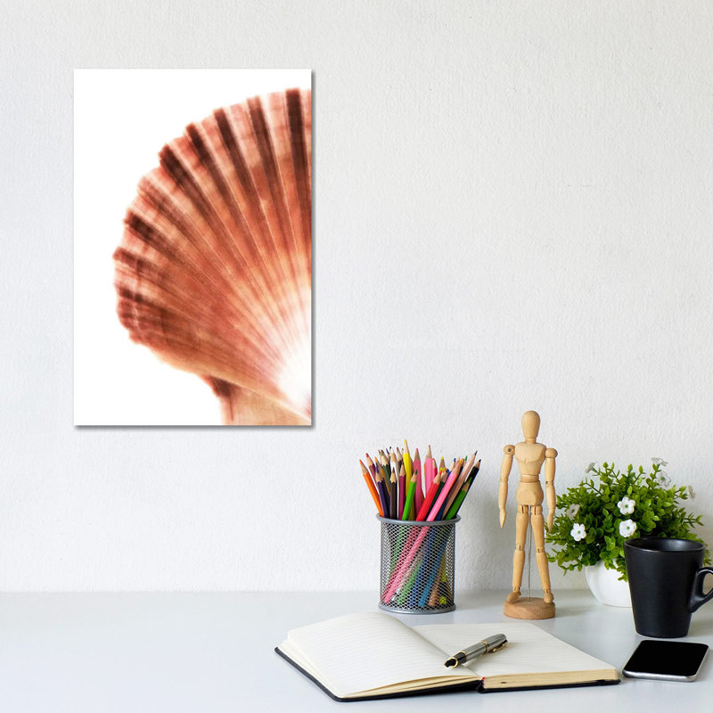 Scallop Seashell by Philippe Hugonnard - Wrapped Canvas Gallery-Wrapped Canvas Giclée, 20.32 cm H x 30.48 cm W