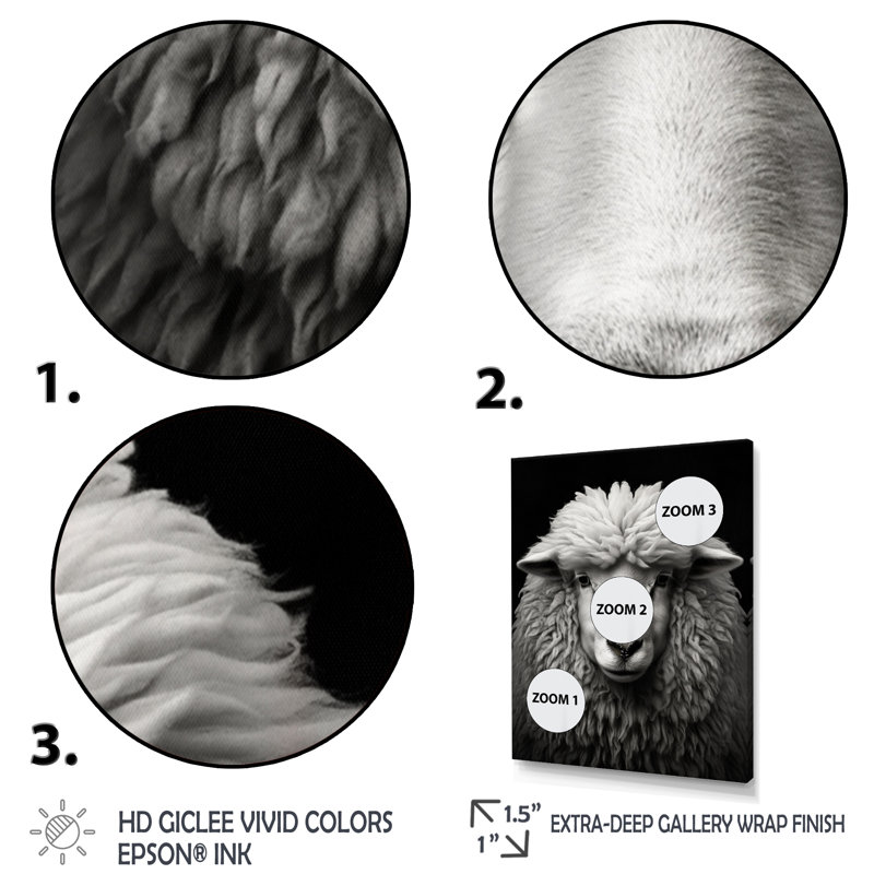 Gris, mouton blanc, noir et blanc - animaux, reproduction sur toile, H 40 po x l 30 po x P 1,5 po, Cadre flottant noir