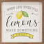 When Life Gives You Lemons-1594308901