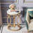 Modern Round End Table Set Of 2 With Faux Marble Texture Surface, White And Gold 20" Round Side Table Cocktail Table Accent Table