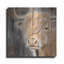«A Windy Day On The Farm» par Diane Fifer-2120850531