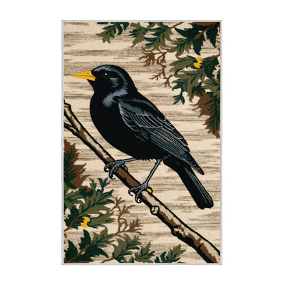  Tapis lavable de merle commun