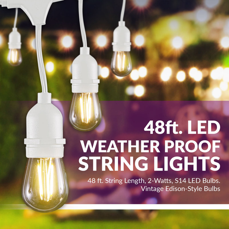 Burroughs  48' Outdoor 15 - Bulb Standard String Light, White