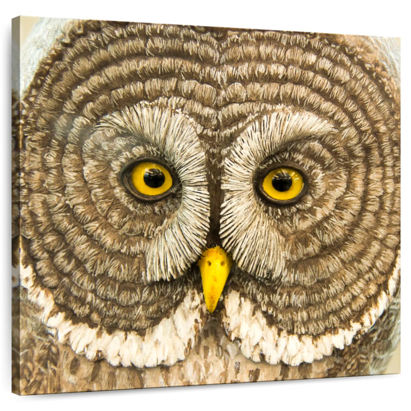 Brampt Owl Sculpture, 10" H x 10" W