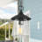 Bedo Outdoor Hanging Lantern