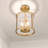 8.75" 3-Light Dimmable Flush Mount with Glass-941752475