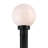 Mazucci Lantern Head