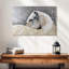 White Beauty-108876848