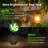 12.5" Solar Powered Integrated LED Outdoor Lantern