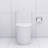 Elongated One Piece Toilet White