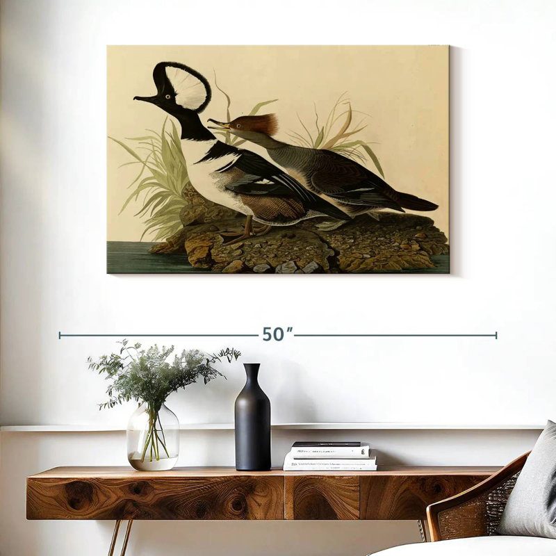 Hooded Merganser, 26" H x 39" W