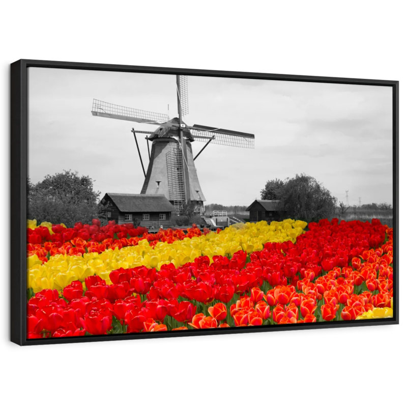 «Windmill Tulip Pop», reproduction sur toile, H 13 po x l 9 po