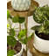 Support pour plante Malachy-1702073425