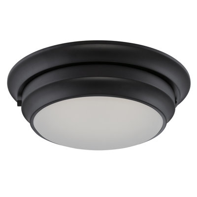 Glass Flush Mount