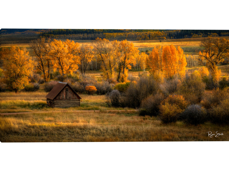 Homestead Stretched Canvas