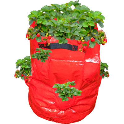 St. Helens Home & Garden Growing Kit