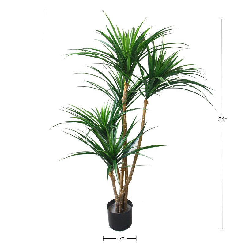 51" Tropical Yucca Artificial Tree with Natural Trunk and Planter by Pure Garden