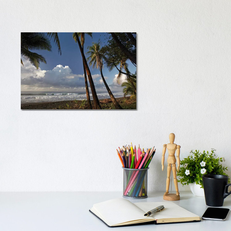 Palm Trees On The Beach Near Marino Ballena National Park, Costa Rica by Tim Fitzharris - Gallery-Wrapped Canvas Giclée on Canvas